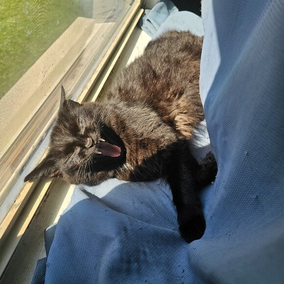 💥10/30 @ 8:40 AM EST Come Hang With Us!! Like This Flyer!!🎈 - Picture 6 of 11